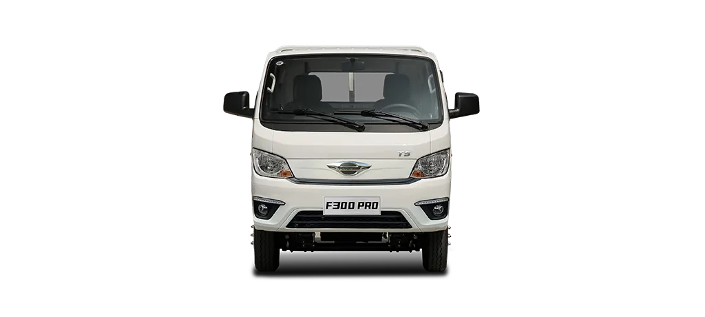 Forland F300